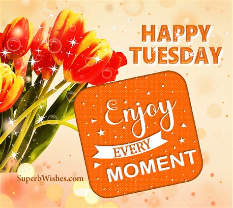 tuesday positive gif|Good morning happy tuesday gifs